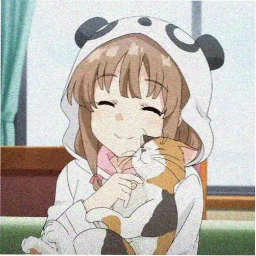 观众北纬四十的头像